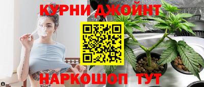 индика Донецк