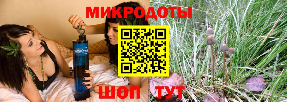 Нововоронеж  Галлюциногенные грибы Psilocybe  Вход с VPN 